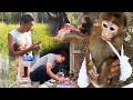 Uncle Nam Builds A Tree Playground And Rescues A Trapped Bird Bringing Back Hope S Rescue Memories 