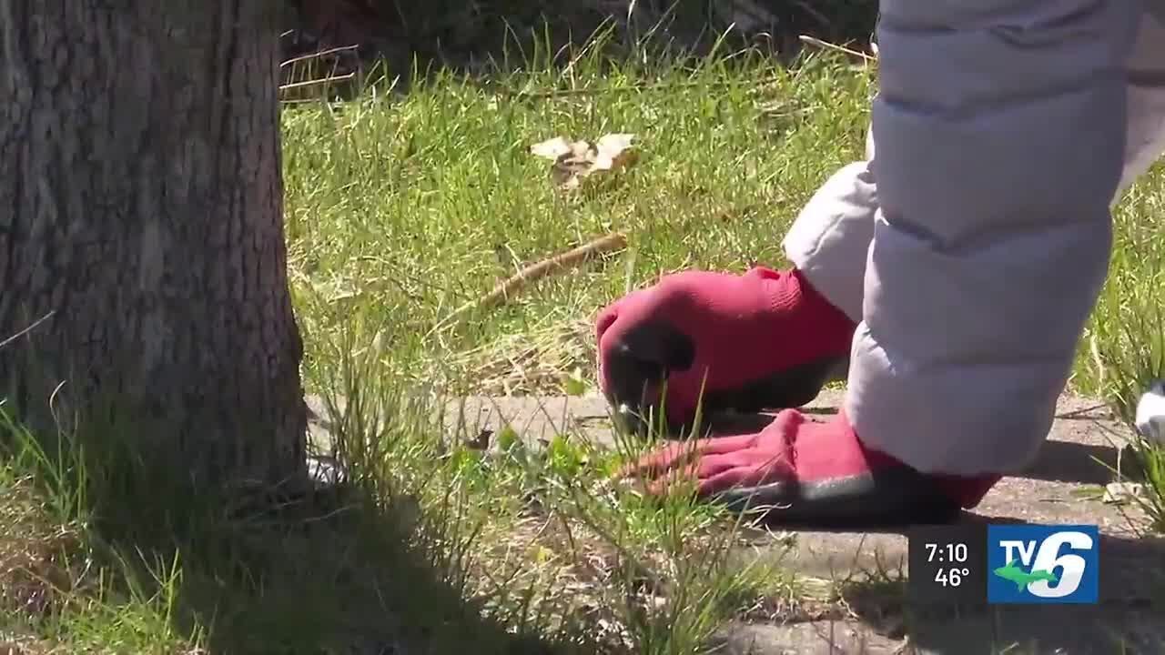 Residents, volunteers clean Hancock parks for annual ‘Pitch in for Parks’ event