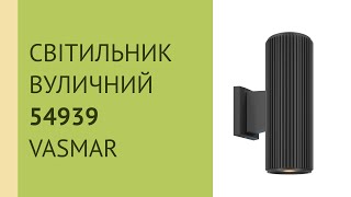 Вуличні настінні підсвітки 54939 від Vasmar