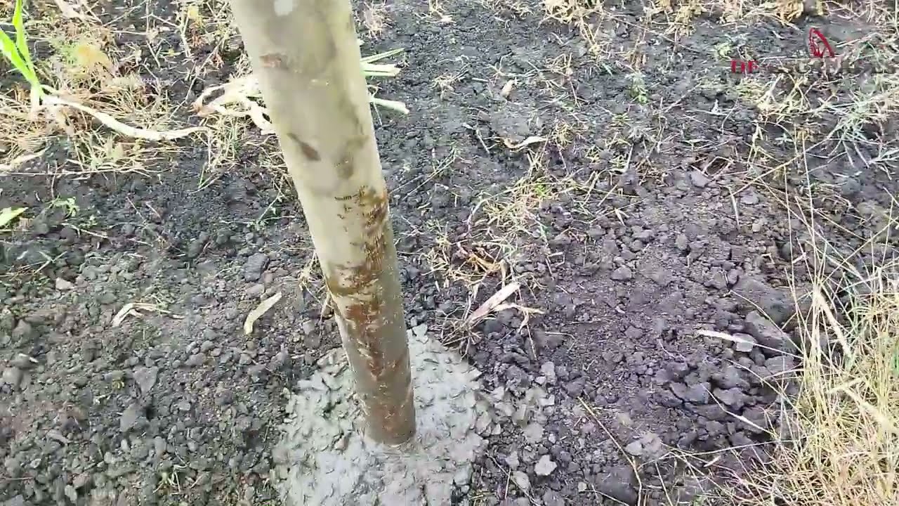 Fencing  Your Land In Africa  Step By Step Guide By 