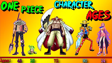 How old is Zoro now?