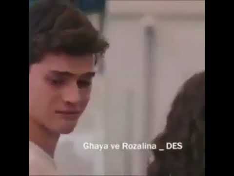 الحب يااا حبيبي