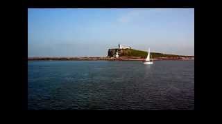 Elvis Presley ~ Solitaire
