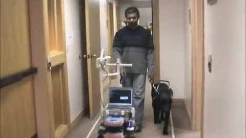 Leash vs. Handle in Robot-Assisted Navigation for the Blind
