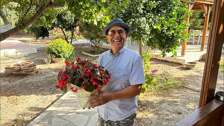 Waking up in Cyprus at Cyprus Glamping Park