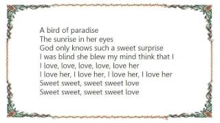 John Lennon - Surprise Surprise Sweet Bird of Paradox Lyrics