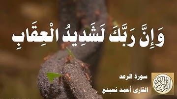 013 أحمد نعينع - سورة الرعد