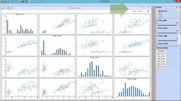 Data Visualization with XLMiner Platform for Excel