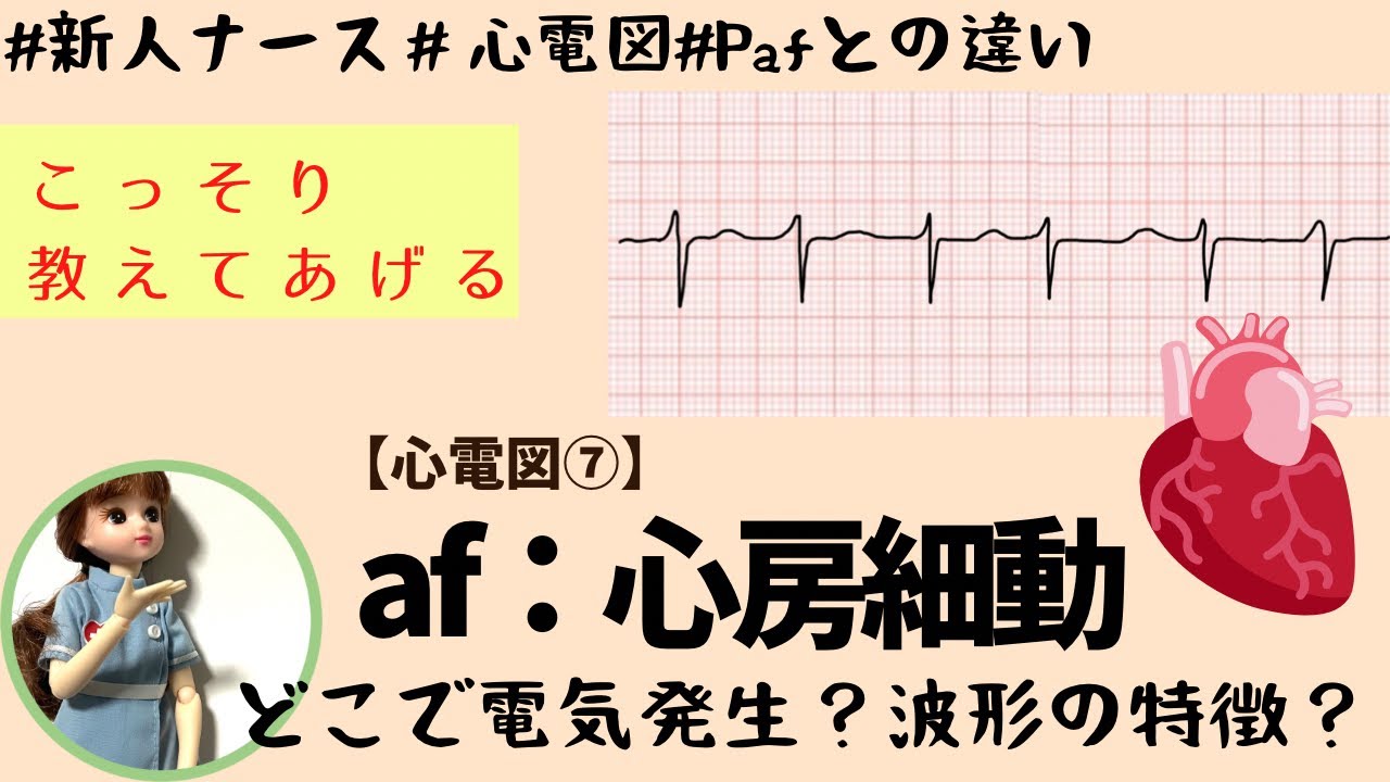 paf と af の 違い