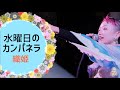 水曜日のカンパネラ - 織姫 / WEDNESDAY CAMPANELLA - Orihime at EN FESTIVAL 2022