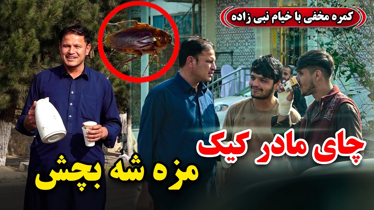 Hidden Camera: Cockroach tea, try the taste!😁🦗 /😁🦗 کمره مخفی: چای مادر ...