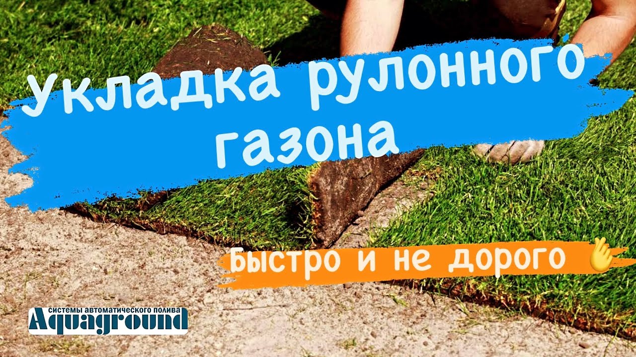 Рулонный газон в Самаре заказать ! Акваграунд - YouTube