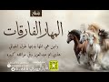 شيلة المهار الفارقات اداء قايد الوبيري