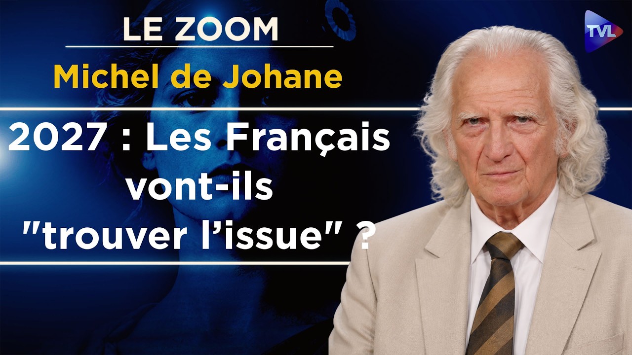 Comment sortir de l’impasse française ? Zoom - Michel de Johane - TVL