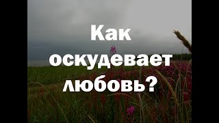 картинка: Как обрести дар любви?
