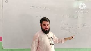chapter 10/Simple Harmonic Motion/Spring-mass System/example 10.2#physicslectures