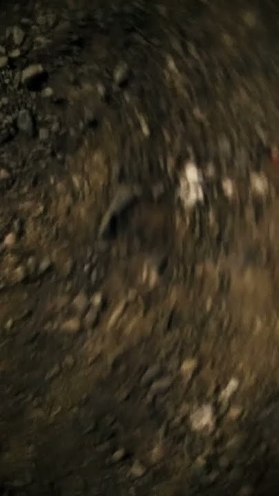 Хүүхдүүдээ 8дугаар ангийн хүүхдүүд тал нь орой 8 гэж тардаг яваж байгаа ...