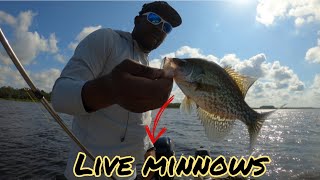 How To Bottom Rigging With Live Minnows For Crappie #crappiefishing