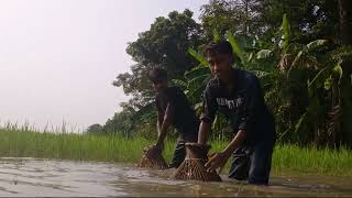 VIDEO LENGKAP Memancing : Gunakan Alat Penyengat Listrik Untuk Menangkap Ikan Besar