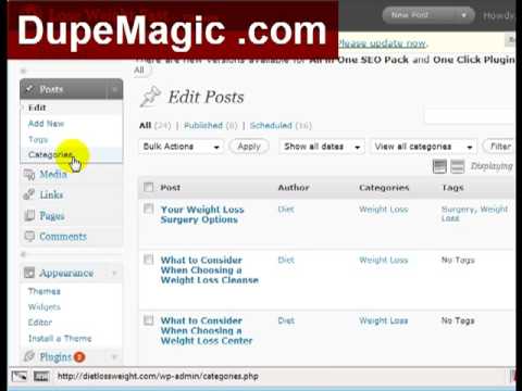 DupeMagic - How to find post/category ID's in WordPress