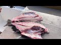 Filleting a Sheepshead by Capt. Vince Russo