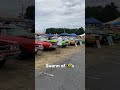 Carlisle Chrysler Nationals 2024 row of Super 🐝’s #mopar #car #automobile #viral #shorts #video