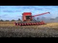 Massey Ferguson 9560 Combine with a 12 Row Corn Head