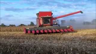 Massey Ferguson 9560 Combine with a 12 Row Corn Head