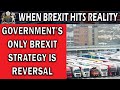 Government's Brexit Reversal Strategy