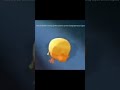 The 4 Year Old That Running Uttp Theamazingdigitalcircus Sonicthehedgehog Memes Uttp The 4 Year Old That Running Uttp Theamazingdigitalcircus Sonicthehedgehog Memes Uttp