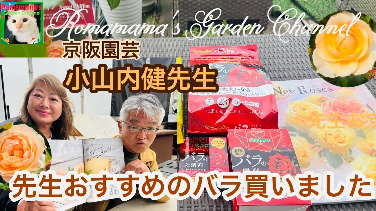 Rose cultivation] I bought a rose that Professor Koyama