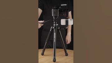 NEEWER TP61 Tripod
