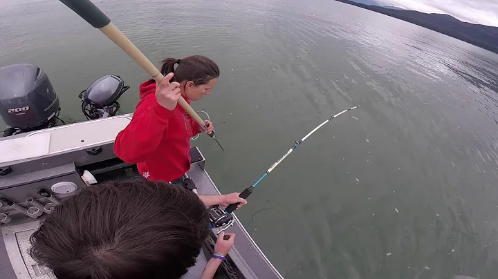 Halibut June 2018
