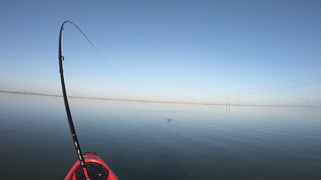 Fly Fishing at Corpus Christi, Texas YouTube