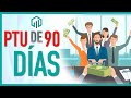 Reparto de utilidades 2023 ptu  cundo me corresponde de utilidades en 2023  3 meses utilidades