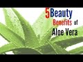 Top 5 Beauty Benefits of Aloe Vera | Best of 2017 | Heath Doctor