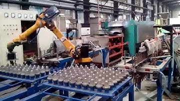 ESTUN Robot for Loading & Unloading
