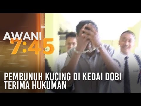 Video: Cara Menghubungi Hakim Di Mahkamah