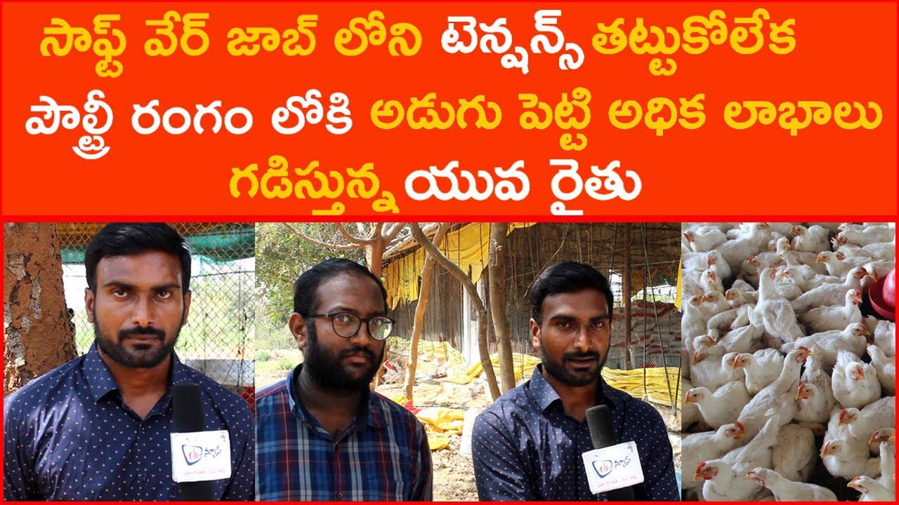 How to start poultry farm Business and franchise details Poultry Farming Business Telugu | CBNews