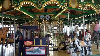 Carousel which features native species in Kingsport, TN Net Worth