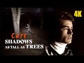 Shadows As Tall As Trees Care 1987 Music Video 4K mp3