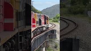 The TranzAlpine … New Zealand’s most scenic train?