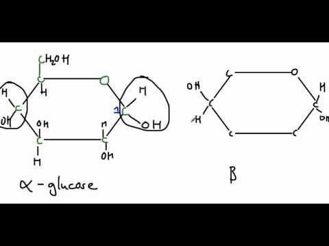 Video: Anong mga carbon mula sa glucose ang nasa acetyl CoA?