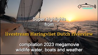 Super highlights from livestream Haringvliet Dutch riverview 2023 wildlife water, boats and weather