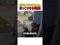 防犯カメラに残されたほっこりする瞬間　#いぬ #犬 #犬のいる生活 #犬好き #犬動画 #面白い #かわいい #感動 #ほっこり