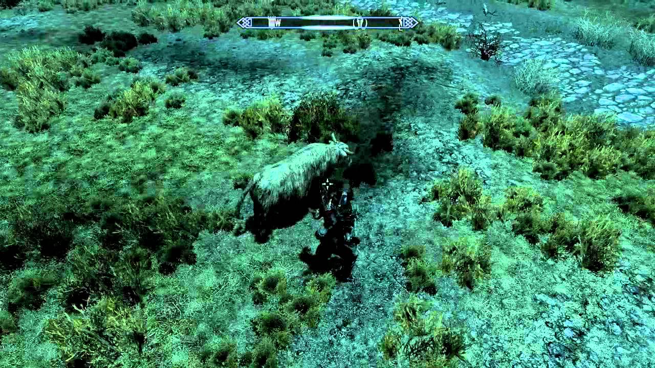 I use to be an adventurer like you, then I tipped a cow.