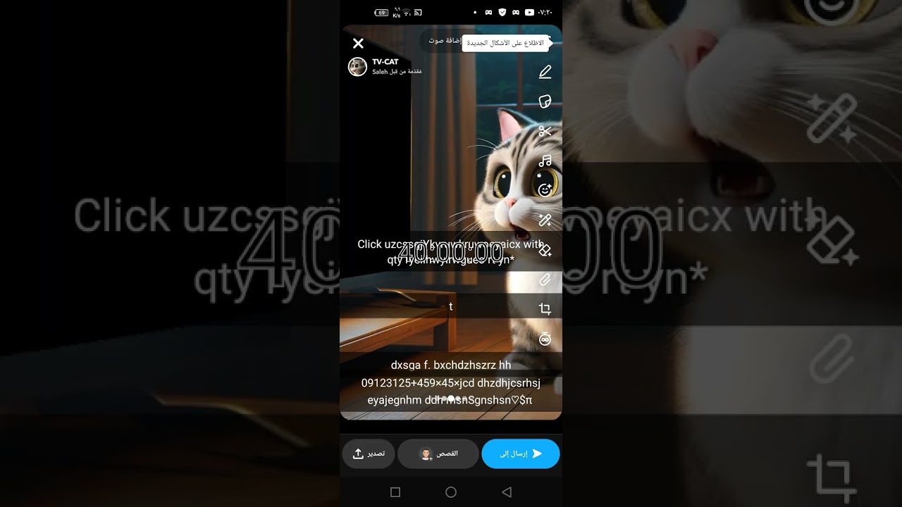 ٣ مارس ٢٠٢٦