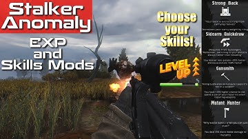 Stalker Anomaly Skill and Perk System