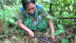 Primitive life - Forest people meet Ethnic girl in hut - forest people run away from girls