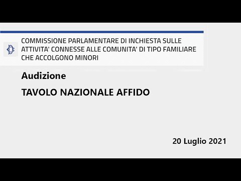 Commissione inchiesta minori – Audizione Tavolo Nazionale Affido - 20 Luglio 2021